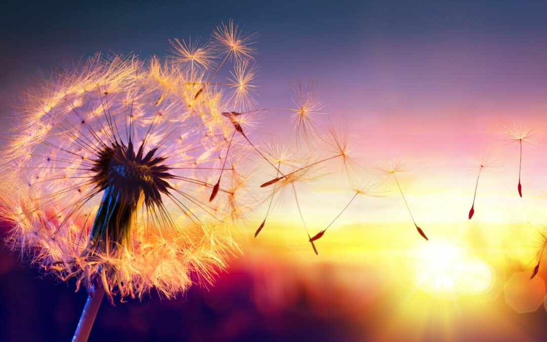 How to Get Unstuck and Welcome Freedom